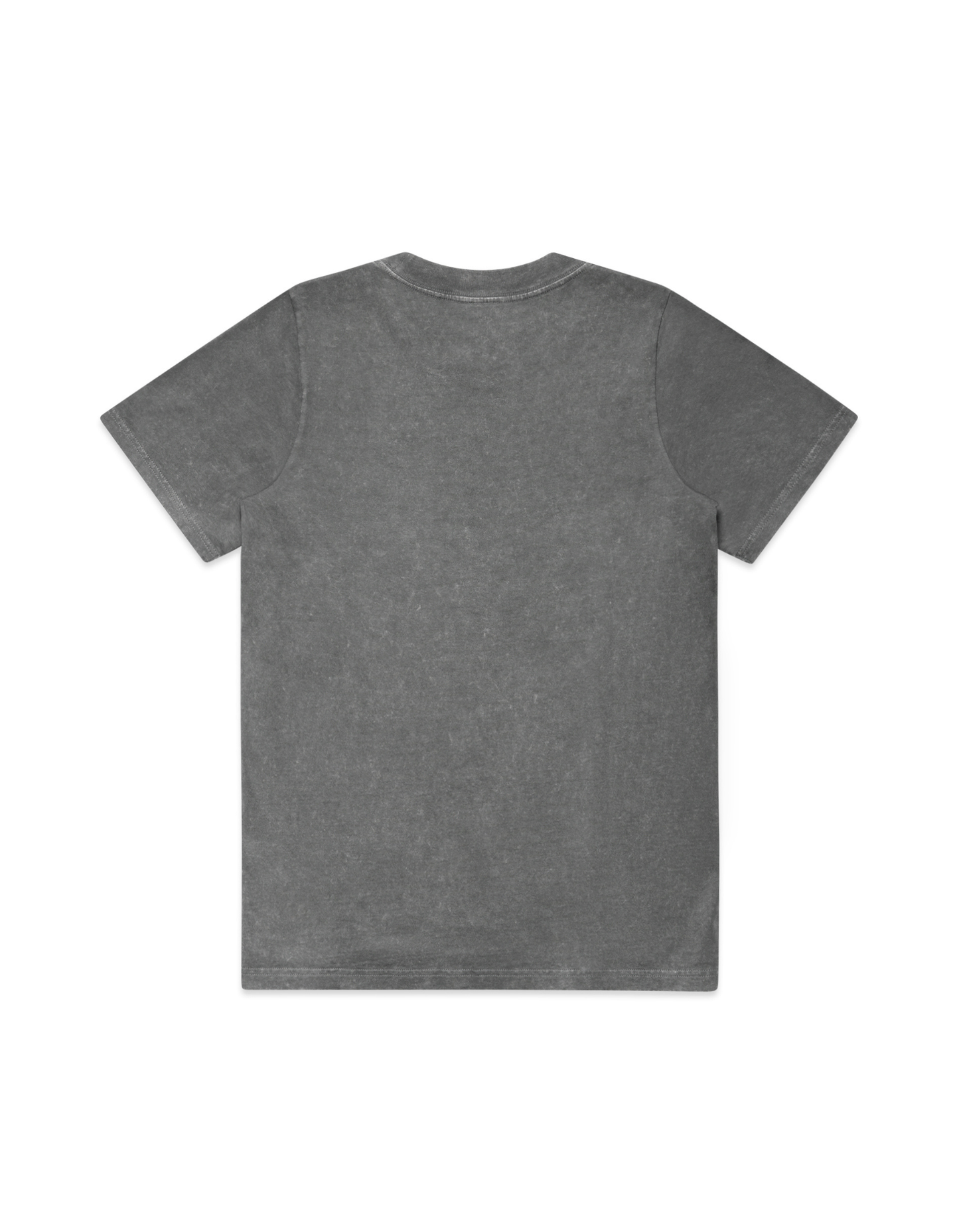 Equi Club "Horse girl summer" Heavy stone washed tee (front print) Au