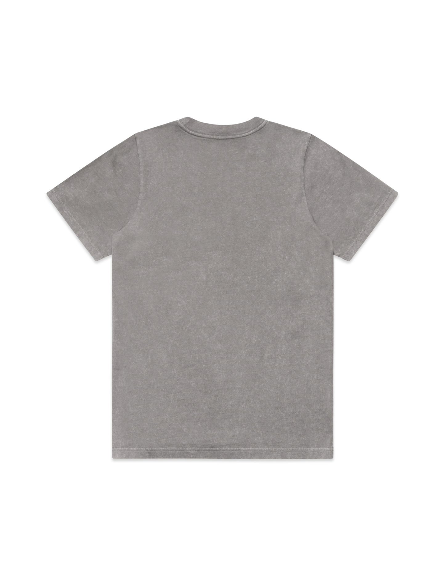 Equi Club "Horse girl summer" Heavy stone washed tee (front print) Au