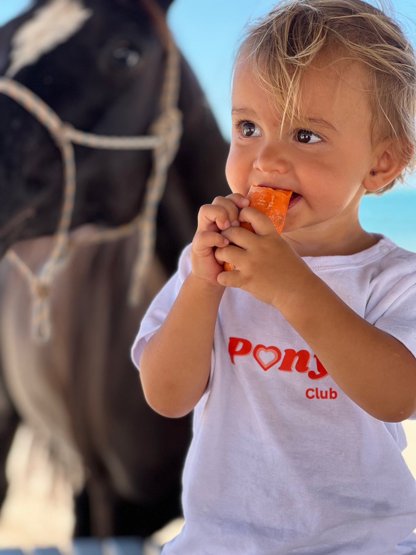 Equi Club "Pony Lovers" Toddler Tee