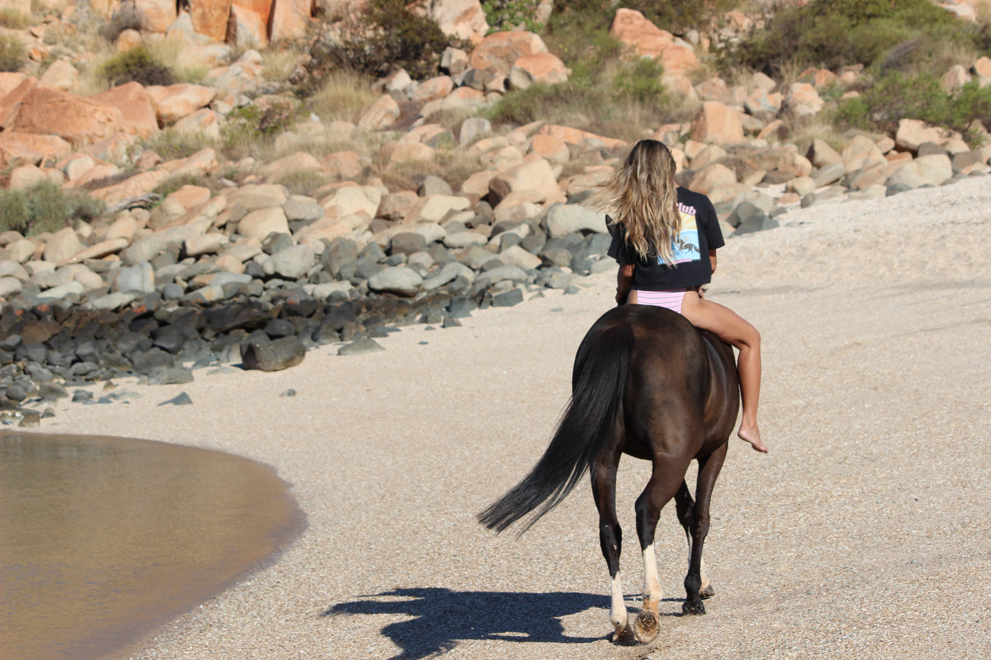 Equi Club " Horse Girl Summer " Faded Crop - au